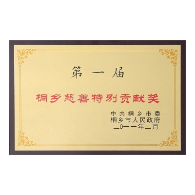 第一屆桐鄉(xiāng)慈善特別貢獻(xiàn)獎(jiǎng)